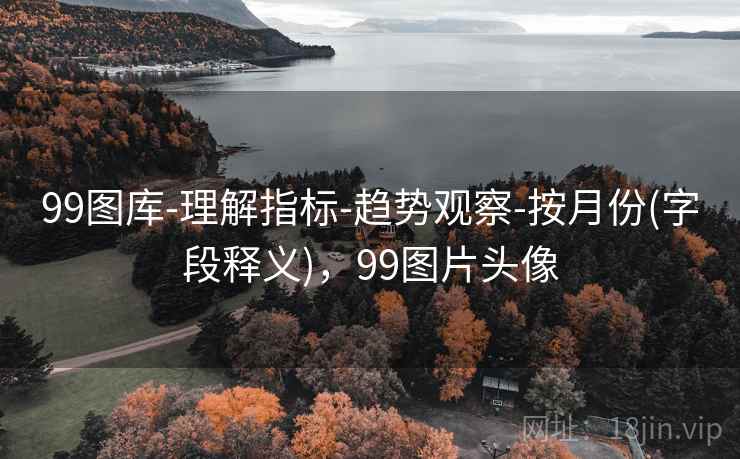 99图库-理解指标-趋势观察-按月份(字段释义)，99图片头像