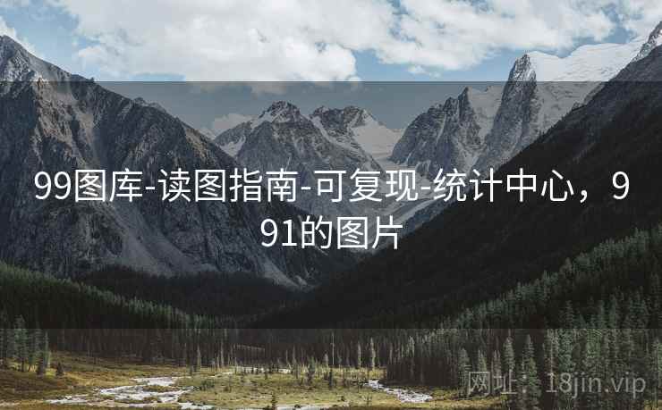 99图库-读图指南-可复现-统计中心，991的图片